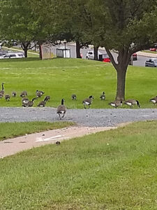 Arbor Hill Elementary School