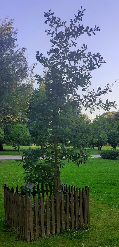 Pasvalio r. KrinÄinas Vienazindis Anthony’s Primary School